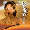 Download track 梦驼铃 (Dj小建版)