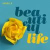 Download track Beautiful Life (DJ Style Remix)