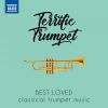 Download track Trumpet Concerto In D Major II. Allegro Moderato