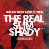 Download track The Real Slim Shady (Randall Joyce Hard Mix Edit)