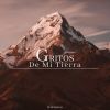 Download track Gritos De Mi Tierra 4