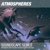 Download track Atmospheric Dark Futuristic Evolving Drone Soundscape 004