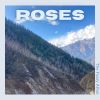 Download track Roses For You