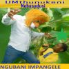 Download track Ngubani Impangele