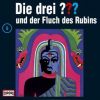 Download track In Der Falle