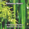 Download track Relaxing Music, Pt. 11