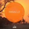 Download track Miracle (Full Version)