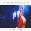 Download track Wayfaring Stranger