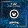 Download track What The Funk (Radio Edit)