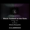 Download track Black Torment At The Gate (Acid Mix)