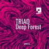 Download track Wet Forest