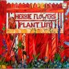 Download track Hi! It's Herbie Flowers