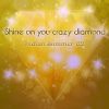 Download track Shine On You Crazy Diamond (WeimarR Remix)