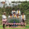 Download track Male Dominga