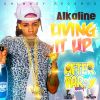 Download track Living It Up