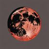 Download track Bloody Moon