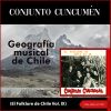 Download track Canción Del Minero (Norte Grande)