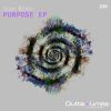 Download track Purpose (Original Mix)