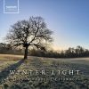 Download track L'Estrange: Winter Light