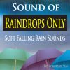 Download track Rain Drops With Tower Fan Sound (Loopable, No Fades)