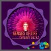 Download track Senses Of Life