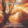 Download track Forgotten Relaxing Music