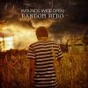 Download track Random Hero