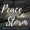 Download track Peace In The Storm