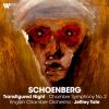 Download track Chamber Symphony No. 2, Op. 38: I. Adagio