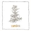 Download track Lumière