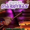 Download track La Cumbia Del Oso