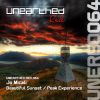 Download track Peak Experience (Original Mix)