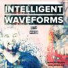 Download track Intelligent Waveforms 012 With Guest DJ N / A