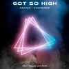 Download track Got So High (Original Mix)