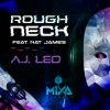 Download track Roughneck (Extended Mix)