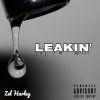 Download track Leakin