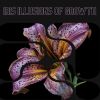 Download track Healing Music For House Plants