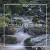 Download track Wandering Streams (Original Mix)