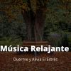 Download track Música Relajante De Piano