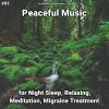 Download track Peaceful Music, Pt. 18