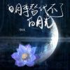 Download track 白月季代替不了白月光 (伴奏)