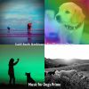 Download track Relaxing Moods For Training Dogs