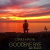 Download track Goodbye Bye (Radio Edit)