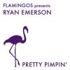 Download track Pretty Pimpin (Ryan Emerson Edit)