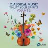 Download track On The Beautiful Blue Danube - Waltz, Op. 314 (Excerpt)