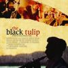 Download track Black Tulip