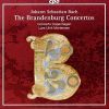 Download track Brandenburg Concerto No. 1 In F Major, BWV 1046 IV. Menuetto