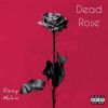 Download track Dead Rose