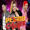 Download track Meu Vicio