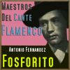 Download track Celos Hasta Del Aire / Porque Pudiera Tenerte / En El Limonero Tengo (Fandango De Lucena, Zángano Y Verdial)